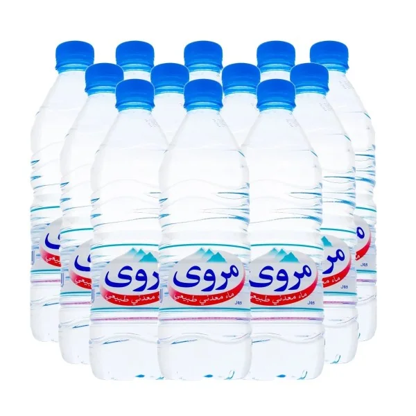 PACK DE 12 BOUTEILLES D'EAUX MARWA 0.5L