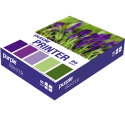 Rame Papier Blanc 80 Gr/m² PRINTER Purple 