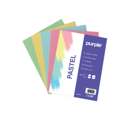 PAQUET DE 10 CHEMISES DOSSIER COULEURS PASTEL 180 GR PURPLE