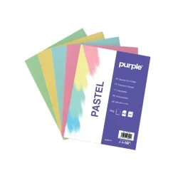 PAQUET DE 10 CHEMISES DOSSIER COULEURS PASTEL 180 GR PURPLE