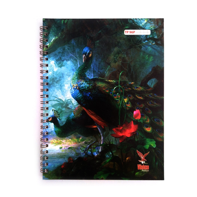 Cahier TP PM INTEGRAL Vilaluxe 17x22 syes 96 pages