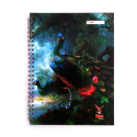 Cahier TP PM INTEGRAL Vilaluxe 17x22 syes 96 pages