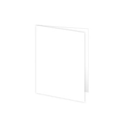 Chemise Bristol 170Gr Blanc PQT/100