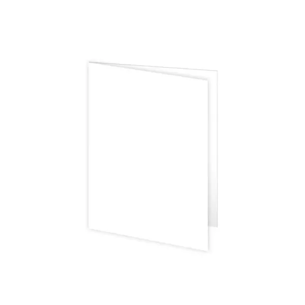 Chemise Bristol 170Gr Blanc PQT/100