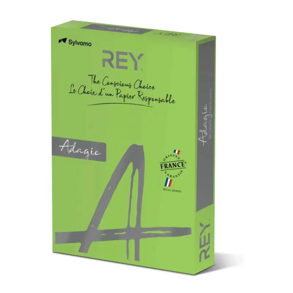 Rame Papier Couleur REY Vert Intense 500F