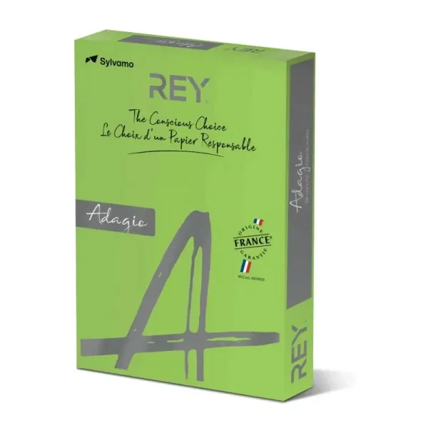 Rame Papier Couleur REY Vert Intense 500F