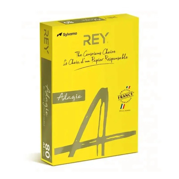 Rame Papier Couleur REY Jaune Canari Pastel 500F