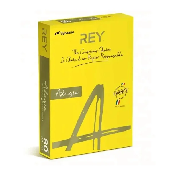 Rame Papier Couleur REY Jaune Canari Pastel 500F