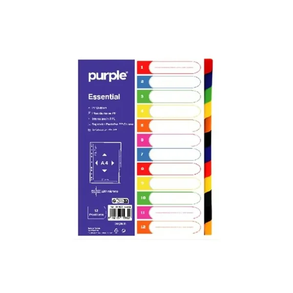 Jeu D'intercalaire en Polypropylène 12 Positions Essential