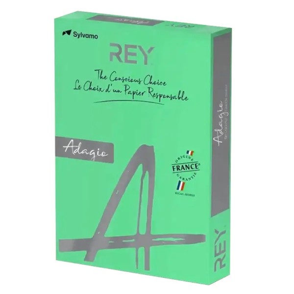 Rame Papier Couleur REY Vert Chlorophylle 500F